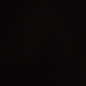 Meet your Posher, Rosy